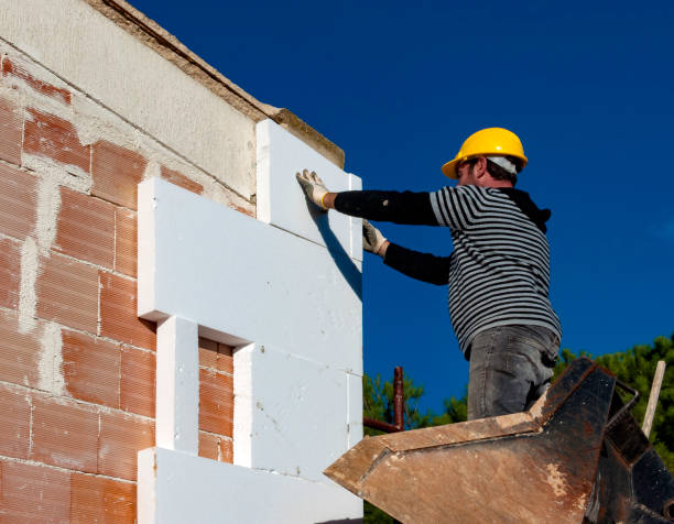 Best Wall Insulation Contractor  in Wellton, AZ