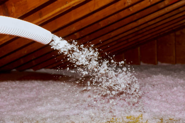 Best Garage Insulation Installation  in Wellton, AZ