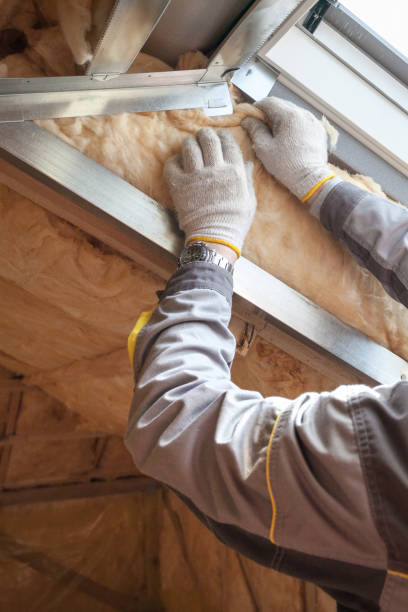 Best Attic Insulation Installation  in Wellton, AZ